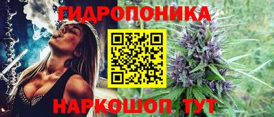 каннабис Волжский