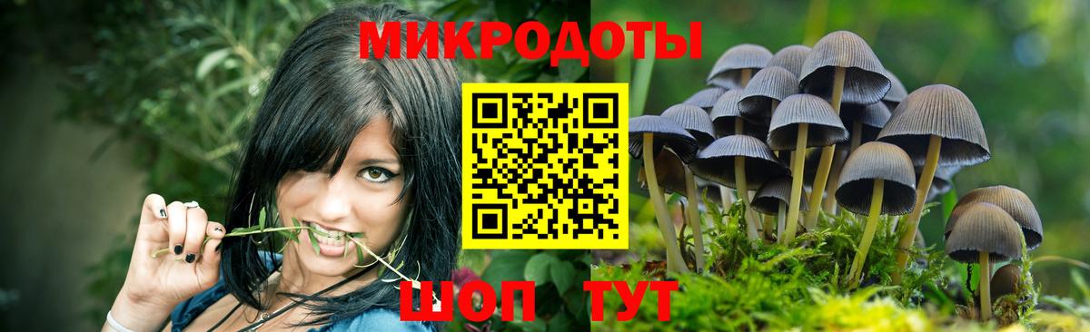 Галлюциногенные грибы MAGIC MUSHROOMS Кстово
